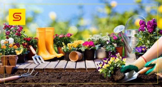Jak przygotować ogród na wiosnę? Co kupić na nowy sezon ogrodowy?