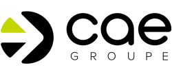CAE DATA