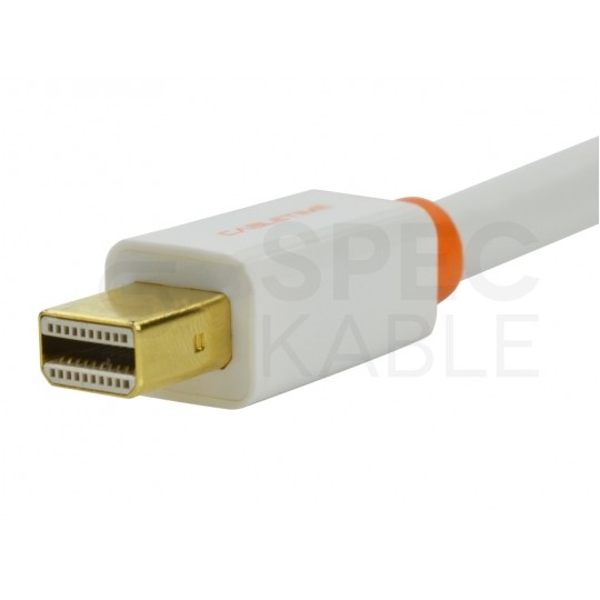 AUDA CableTime Adapter mini DisplayPort -> DVI-I (24+5pin) Full HD (wtyk / gniazdo) biały 23cm