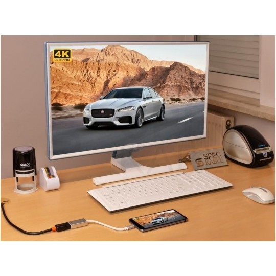 AUDA CableTime Adapter USB 3.1 typ-C -> DisplayPort 4K@60 (wtyk / gniazdo) srebrny 15cm