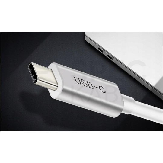 AUDA CableTime Adapter USB 3.1 typ-C -> DisplayPort 4K@60 (wtyk / gniazdo) srebrny 15cm