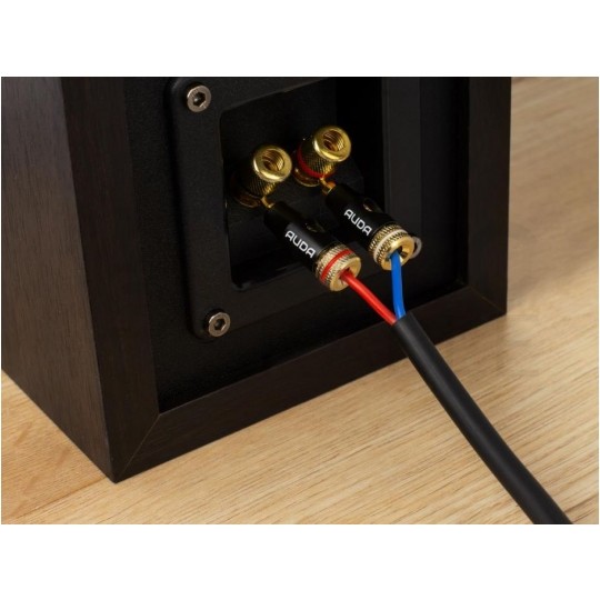 AUDA Prestige Wtyk głośnikowy typu SZPILKA skręcany pozłacany czarny