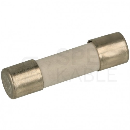 Bezpiecznik rurkowy Wkładka topikowa ESKA-F 5x25mm (250V AC) 10A