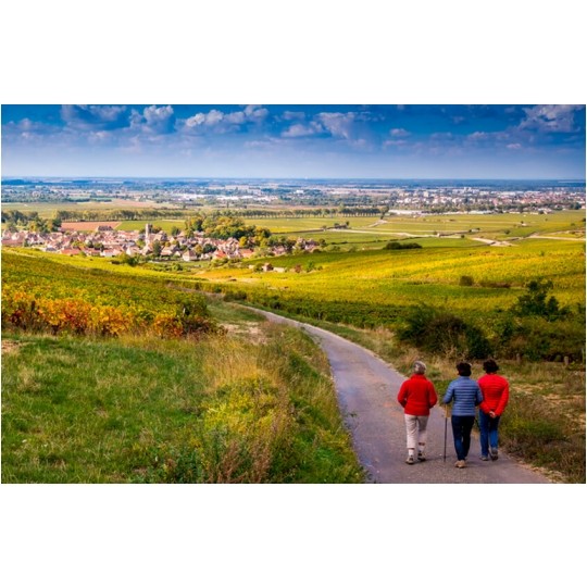 BleBox airSensor Inteligentny czujnik jakości powietrza Wi-Fi wykrywacz smogu 12/24V SMARTHOME