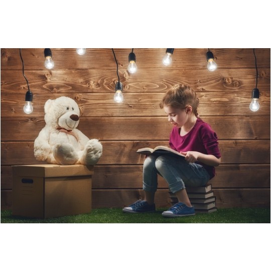 BleBox dimmerBox Inteligentny sterownik do oświetlenia LED Wi-Fi ściemniacz lamp żarowych, halogenowych 230V SMARTHOME