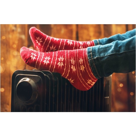 BleBox thermoBox Inteligentny termostat sterownik temperatury Wi-Fi 230V moduł ogrzewania (-55~125°C) SMARTHOME