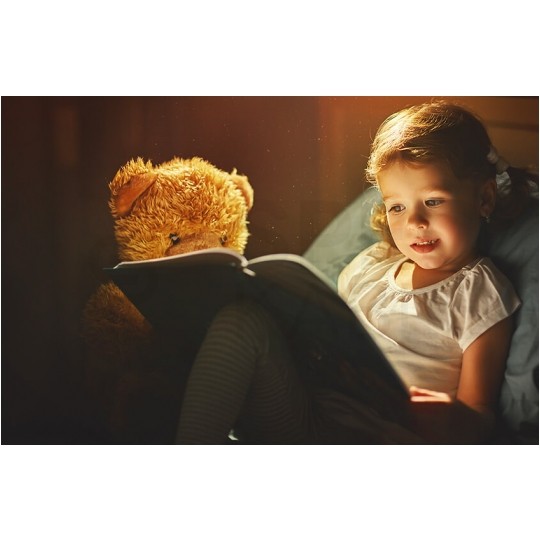 BleBox wLightBoxS Pro Inteligentny sterownik do oświetlenia LED ściemniacz z anteną zewnętrzną 12/24V Wi-Fi IP54 SMARTHOME