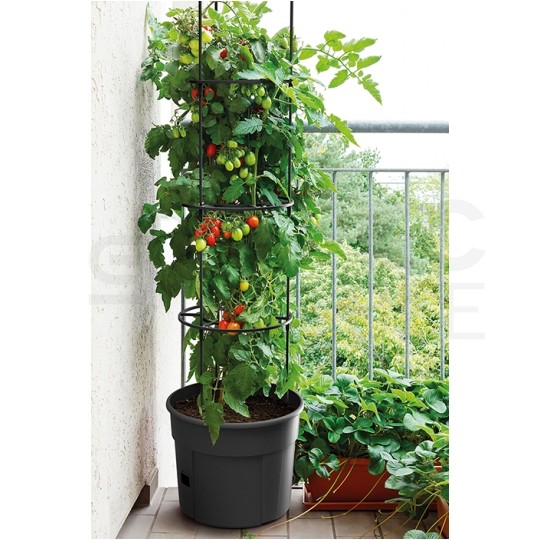 Doniczka do uprawy pomidorów 28L antracytowa Tomato Grower śred. 392mm Prosperplast