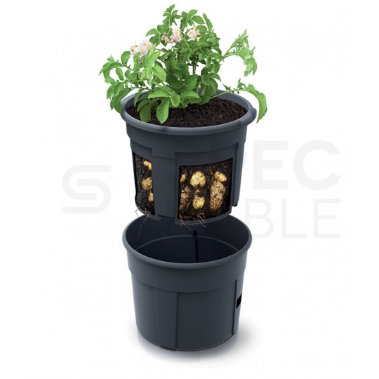 Doniczka do uprawy ziemniaków 12L antracytowa Potato Grower śred. 295mm Prosperplast