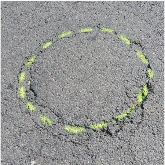 Farba geodezyjna do znakowania niebieska 500ml spray SOPPEC Track Marker