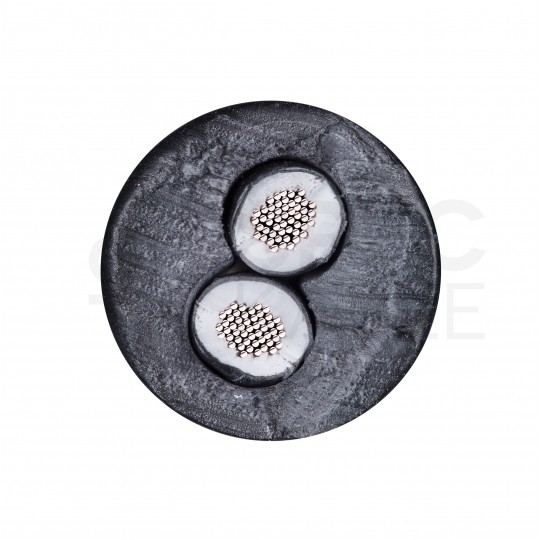 Kabel sterowniczy ziemny BiT 1000 H 2x2,5mm2 czarny 0,6/1kV zasilający numerowany bezhalogenowy Cca linka Bitner