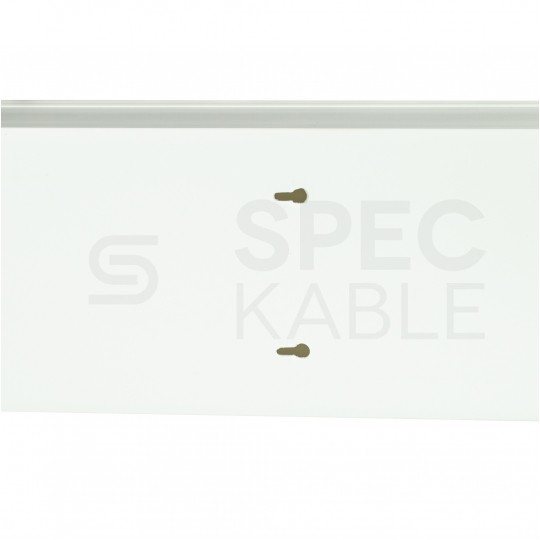 Listwa elektroinstalacyjna kanał kablowy BKK 100x60mm korytko z pokrywą KARTON= 20m (10szt)