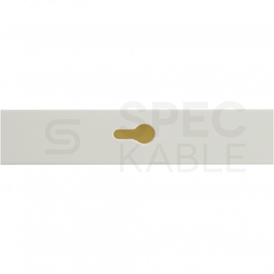 Listwa elektroinstalacyjna kanał kablowy BKK 20x10mm korytko z pokrywą KARTON=200m (100szt)