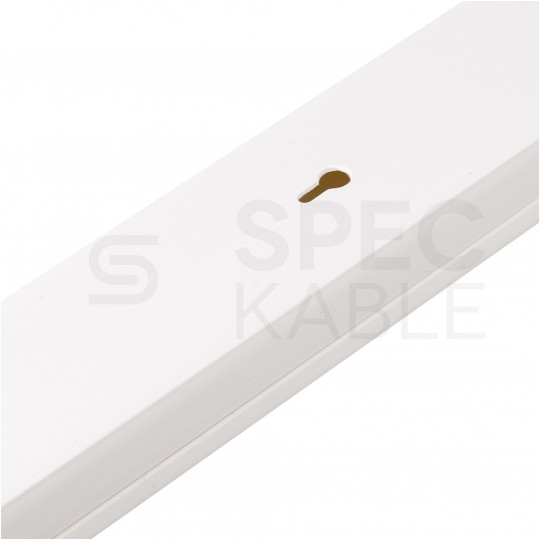 Listwa elektroinstalacyjna kanał kablowy BKK 40x25mm korytko z pokrywą KARTON=80m (40szt)