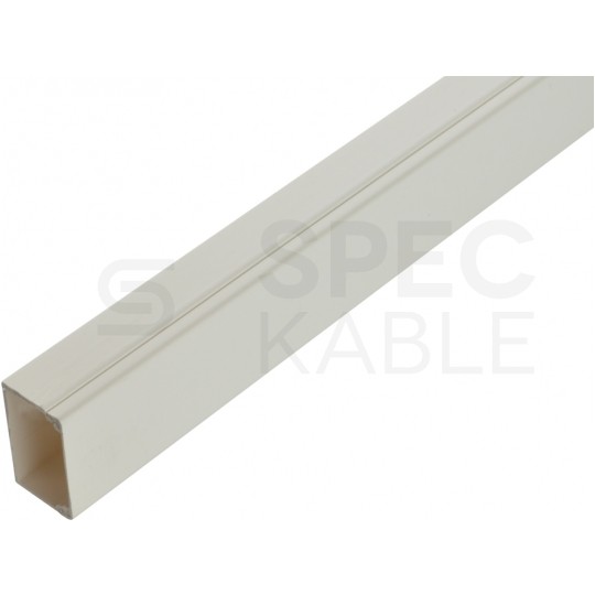 Listwa elektroinstalacyjna kanał kablowy LN 40x25.1 korytko z pokrywą LEGRAND