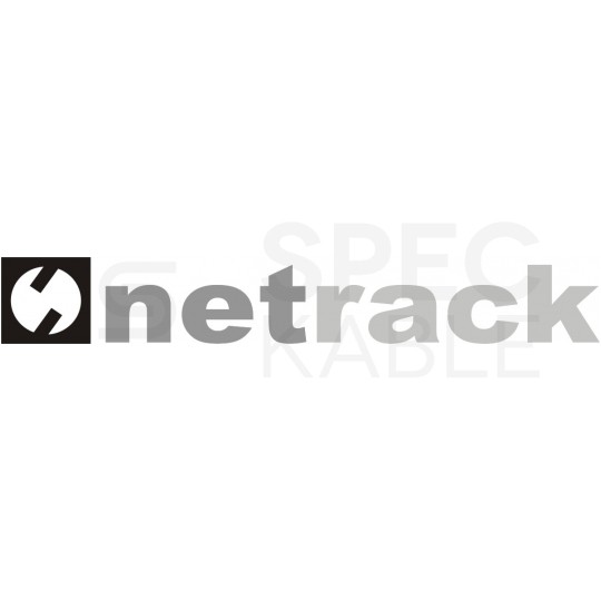 OUTLET Szafa wisząca RACK 10" 6U 300mm drzwi szklane szara NETRACK S-Line