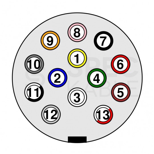 Schemat wtyku 13-pin 12V