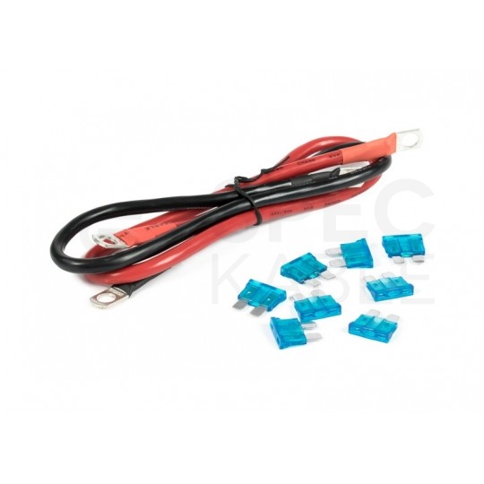 Przetwornica napięcia 24V / 230V czysty SINUS 2000/4000W AZO Digital IPS-4000S