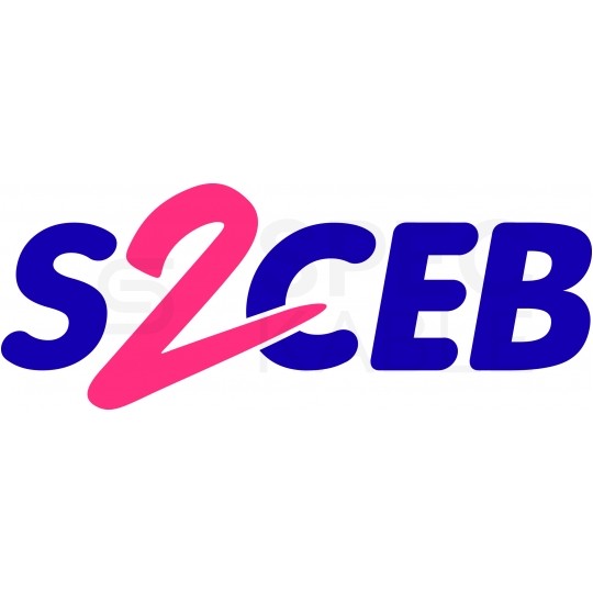 Przewód głośnikowy FHP2251 2x2,5 profesjonalny S2CEB CAE