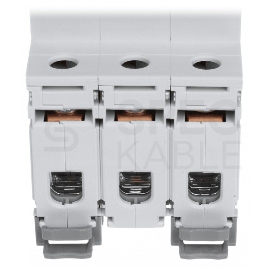 Rozłącznik izolacyjny 63A 3-biegunowy 3P (400V AC) 3-modułowy FR303 Legrand