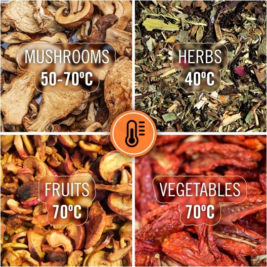 Suszarka do grzybów owoców warzyw 400W z regulacją temperatury TESSA