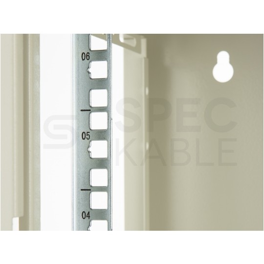 Szafa wisząca RACK 10" 9U 300mm drzwi szklane szara NEKU TS