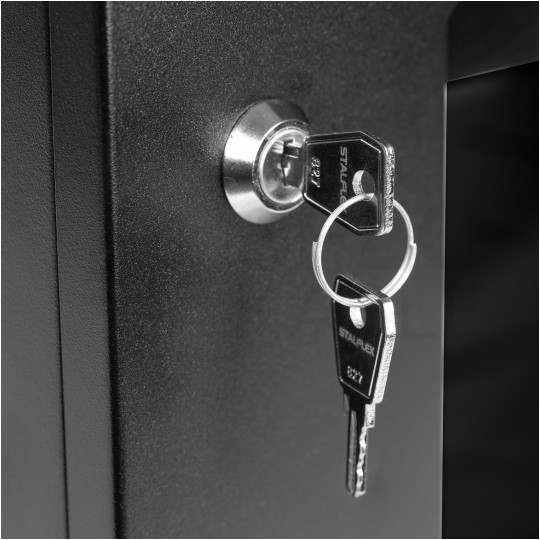 Szafa wisząca RACK 19" 6U 350mm drzwi szklane czarna z półką i maskownicą PRO LIGHT