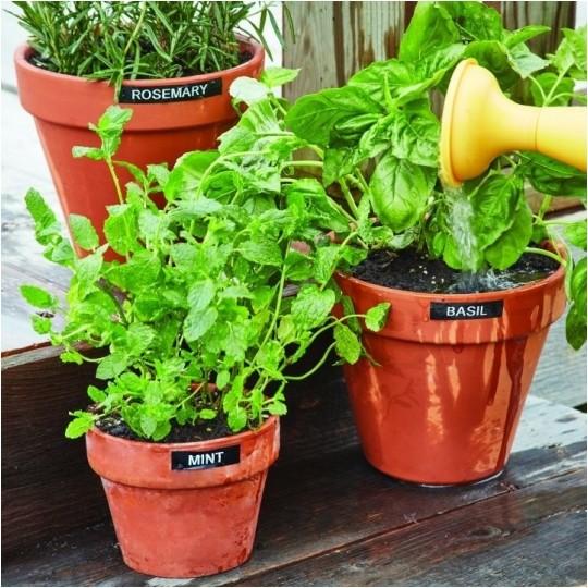 Taśma DYMO D1 Durable 12mm x 3m (czerwona / biały nadruk) [1978366] ORYGINALNA