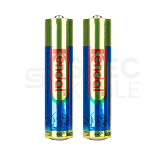 Termometr kuchenny do żywności, mięsa, pieczenia, gotowania [-40 ÷ 300°C] z 2 sondami szpikulcowymi, wyświetlaczem LCD i funkcją Bluetooth WT308B WINTACT