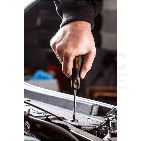 Wkrętak z magnetyczną końcówką krzyżowy PZ1 x 100mm NEO 04-032