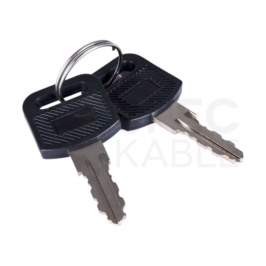 Zamek do drzwi bocznych szafy wiszącej RACK 10" NEKU + dwa klucze