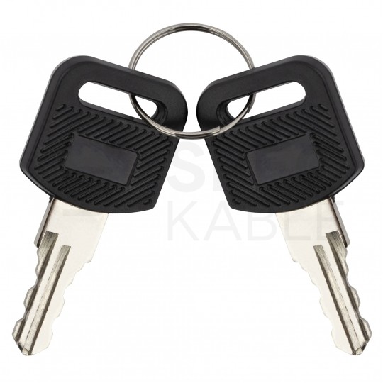 Zamek do drzwi bocznych szafy wiszącej RACK 19" NEKU + dwa klucze