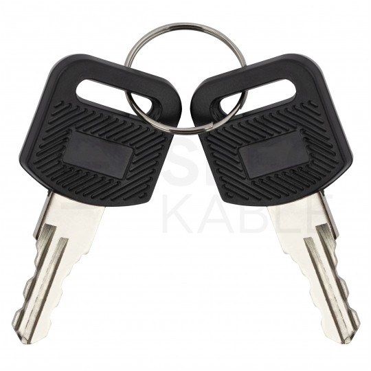 Zamek do drzwi przednich szafy wiszącej RACK 19" NEKU + dwa klucze