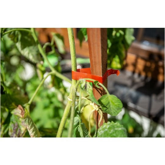 Zestaw ogrodowy do podwiązywania roślin (zszywacz tapener + taśma 25m + zszywki 200szt) VERTO
