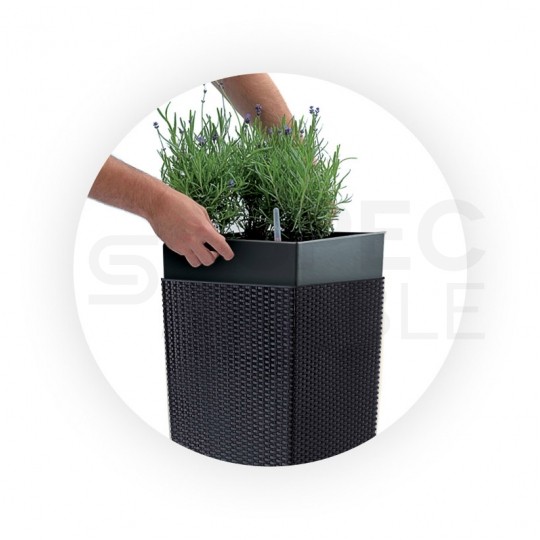 Zestaw, system nawadniający do doniczek Rato & Urbi System 52x245x245mm Prosperplast