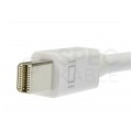 AUDA Optimum Adapter mini DisplayPort -> HDMI Full HD (wtyk / gniazdo) biały 23cm