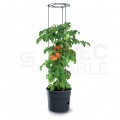 Doniczka do uprawy pomidorów 28L antracytowa Tomato Grower śred. 392mm Prosperplast