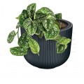 Doniczka Milly, donica antracytowa z wkładem 14L śred. 298mm x 257mm Prosperplast