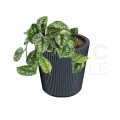 Doniczka Milly, donica antracytowa z wkładem 7L śred. 238mm x 227mm Prosperplast