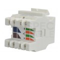 Gniazdo internetowe 1x RJ45 UTP kat.6 nieekranowane moduł 1M 22,5x45 biały Molex