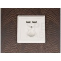 Gniazdo zasilające podtynkowe pojedyncze [2P+Z] 16A + gniazdo ładowania 2x USB (5V / 2,1A) białe KOMPLETNE Lanberg