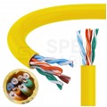 Kabel sieciowy U/UTP kat.5e skrętka 4x2x0,51mm wewnętrzny PVC żółty Molex