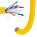 Kabel sieciowy U/UTP kat.6 skrętka 4x2x0,57mm wewnętrzny B2ca bezhalogenowy LSOH żółty Alantec