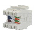 Moduł keystone RJ45 UTP kat.6 nieekranowany biały Molex