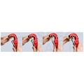Obcinak do rur 6-35mm TubiX KNIPEX 90 31 02 BK