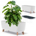 OUTLET Doniczka Gracia Case, donica biała na nóżkach 580x240x235mm Prosperplast