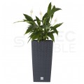 OUTLET Doniczka Rato Square, donica antracytowa z wkładem 26,6L 265x265x500mm Prosperplast