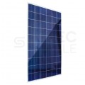 Panel solarny fotowoltaiczny polikrystaliczny Kingdom Solar Anti-Dust IP68 280W