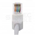 Patchcord UTP kat.5e kabel sieciowy LAN 2x RJ45 kątowy linka biały 2m Goobay