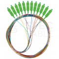 Pigtail światłowodowy FO SM SC/APC 9/125 OS2 Easy Strip 2m 12szt LANBERG